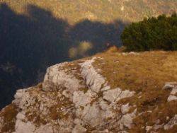 2013-10-08_Guffert (151).JPG